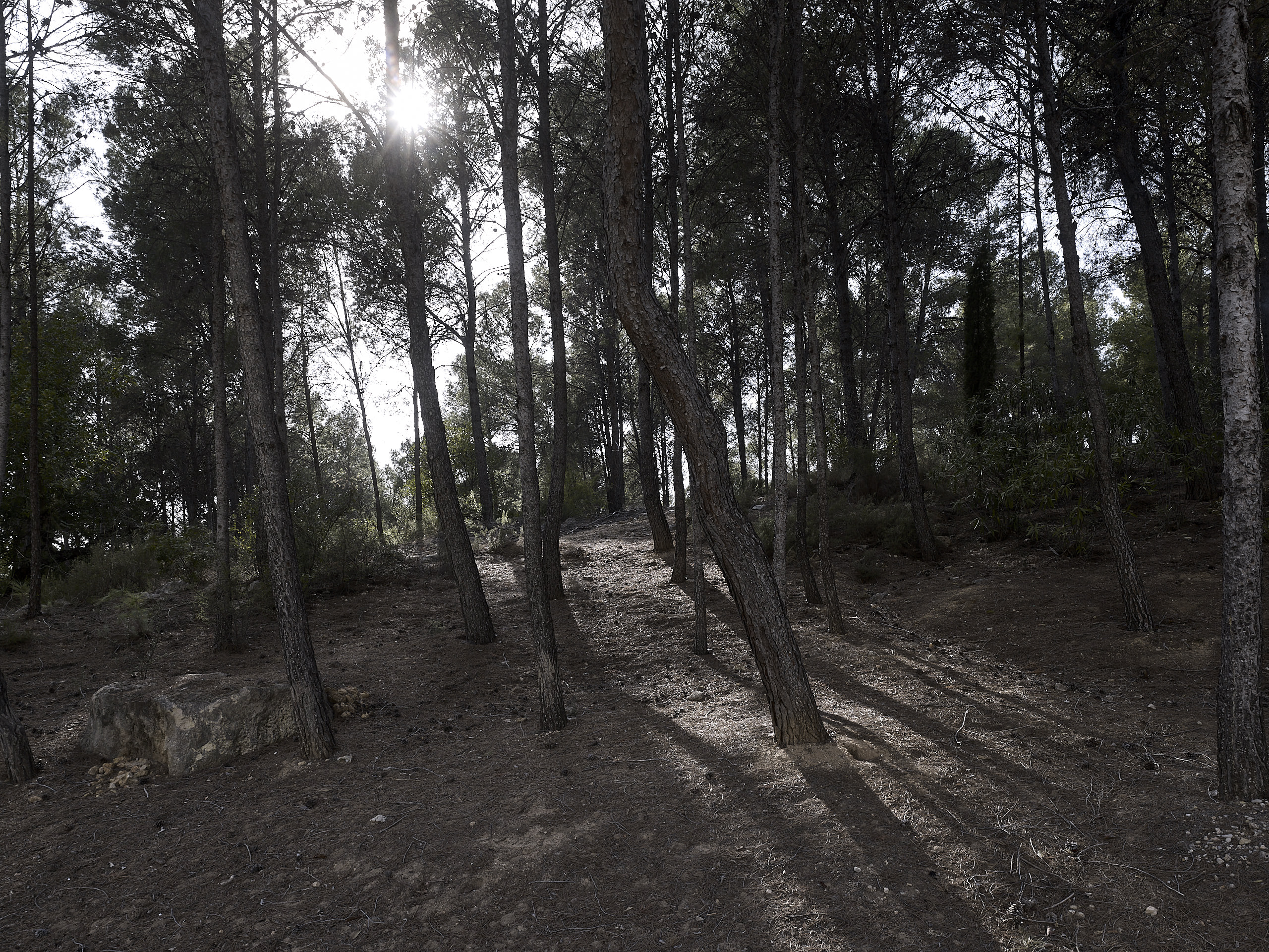 Universidad Laboral Cheste